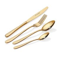Stanley Rogers Albany Gold 24 Piece Cutlery Set - 24pc Gold 50864