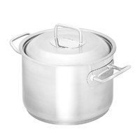 Scanpan Commercial 24cm / 5.5 L Stainless Steel Dutch Oven with Lid
