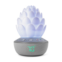 Skip Hop Terra Cry Activated Succulent Glow Soother , Grey White
