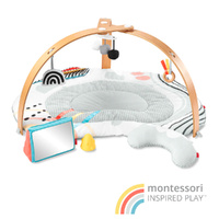 Skip Hop Discoverosity Deluxe Activity Gym - Mat Baby Newborn