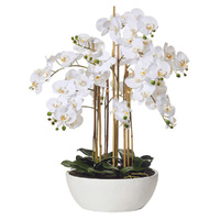 Rogue Artificial Butterfly Orchid Pot Plant - White 80x83cm