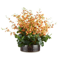 Rogue Dancing Orchid Garden Mix Madelyn Bowl Plant - Orange 66x66x67cm