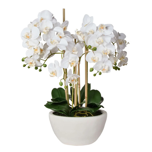 Rogue Artificial Phalaenopsis Orchid Pot Plant - White 62x58x71cm